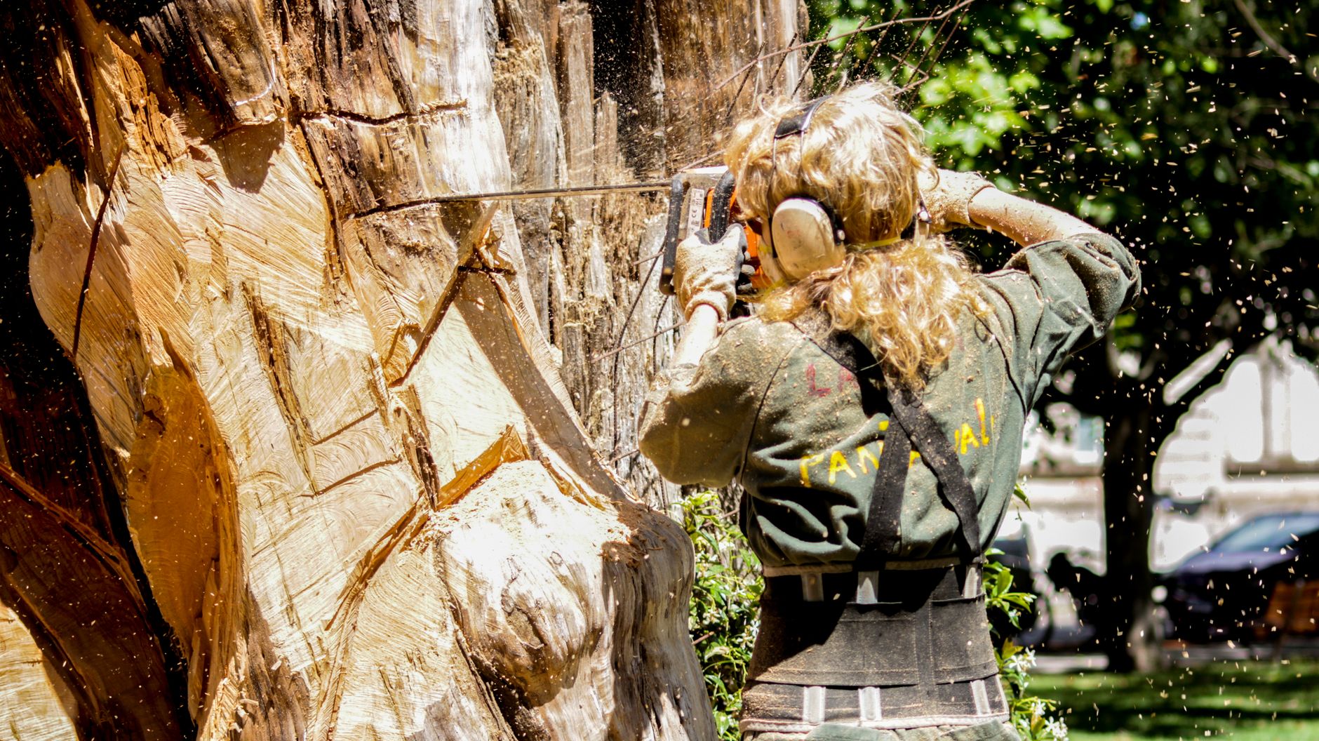Tree Removal